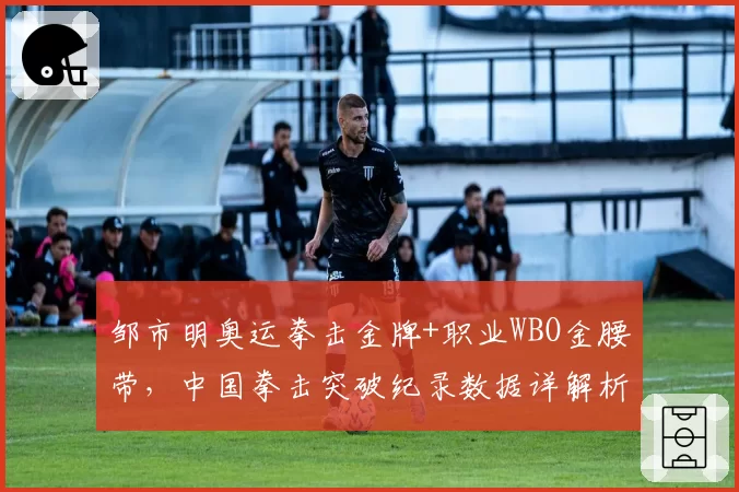 邹市明奥运拳击金牌+职业WBO金腰带，中国拳击突破纪录数据详解析