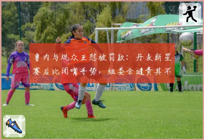 鲁内与观众互怼被罚款：丹麦新星赛后比闭嘴手势，组委会谴责其不尊重球迷