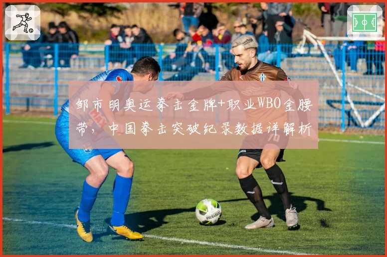 邹市明奥运拳击金牌+职业WBO金腰带，中国拳击突破纪录数据详解析