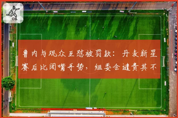 鲁内与观众互怼被罚款：丹麦新星赛后比闭嘴手势，组委会谴责其不尊重球迷